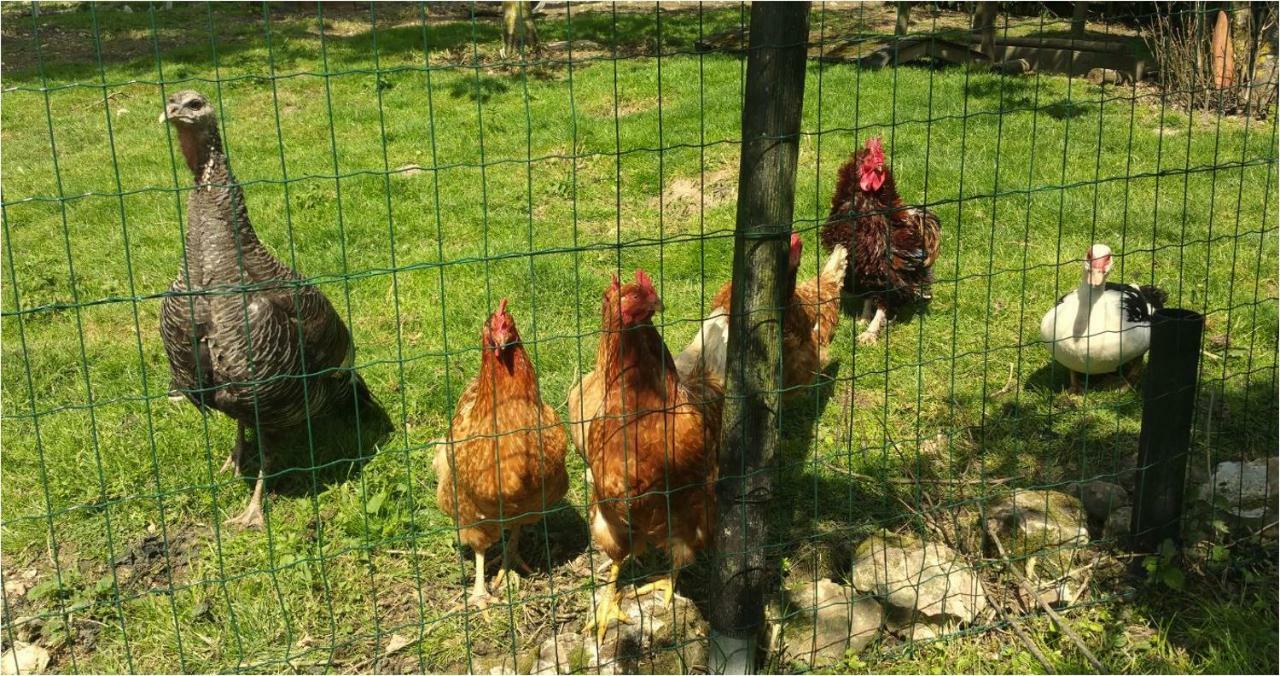 La Maison Lierue Fretigny エクステリア 写真